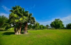 Al-Bidda-Park---Greeneries-by-CURVE-(1-of-104)