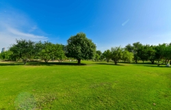 Al-Bidda-Park---Greeneries-by-CURVE-(15-of-104)