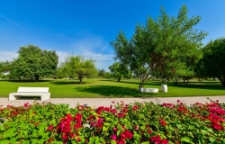 Al-Bidda-Park---Greeneries-by-CURVE-(18-of-104)