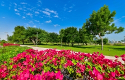 Al-Bidda-Park---Greeneries-by-CURVE-(26-of-104)