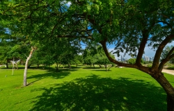 Al-Bidda-Park---Greeneries-by-CURVE-(34-of-104)