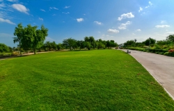 Al-Bidda-Park---Greeneries-by-CURVE-(51-of-104)