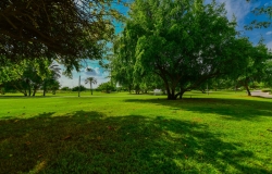 Al-Bidda-Park---Greeneries-by-CURVE-(90-of-104)
